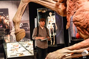 NYSW Bodies Exhibit